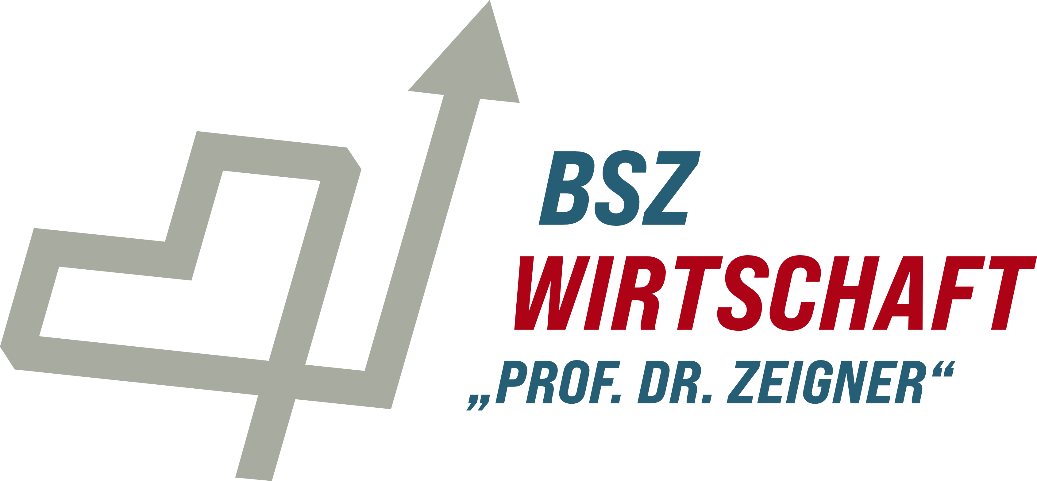 BSZ Wirtschaft Dresden Prof. Dr. Zeigner